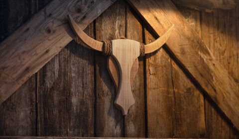 Westernstyle Bull-Head